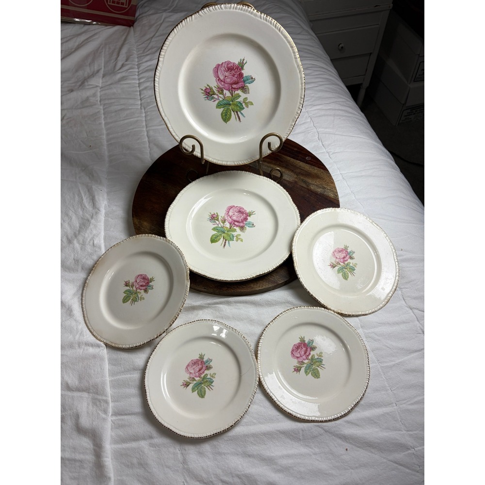 6 Homer Laughlin Cunningham Pickett Calirose Pink Rose Plates Vintage Cottagecor